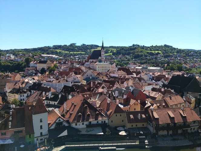 IMG_20250904_110855