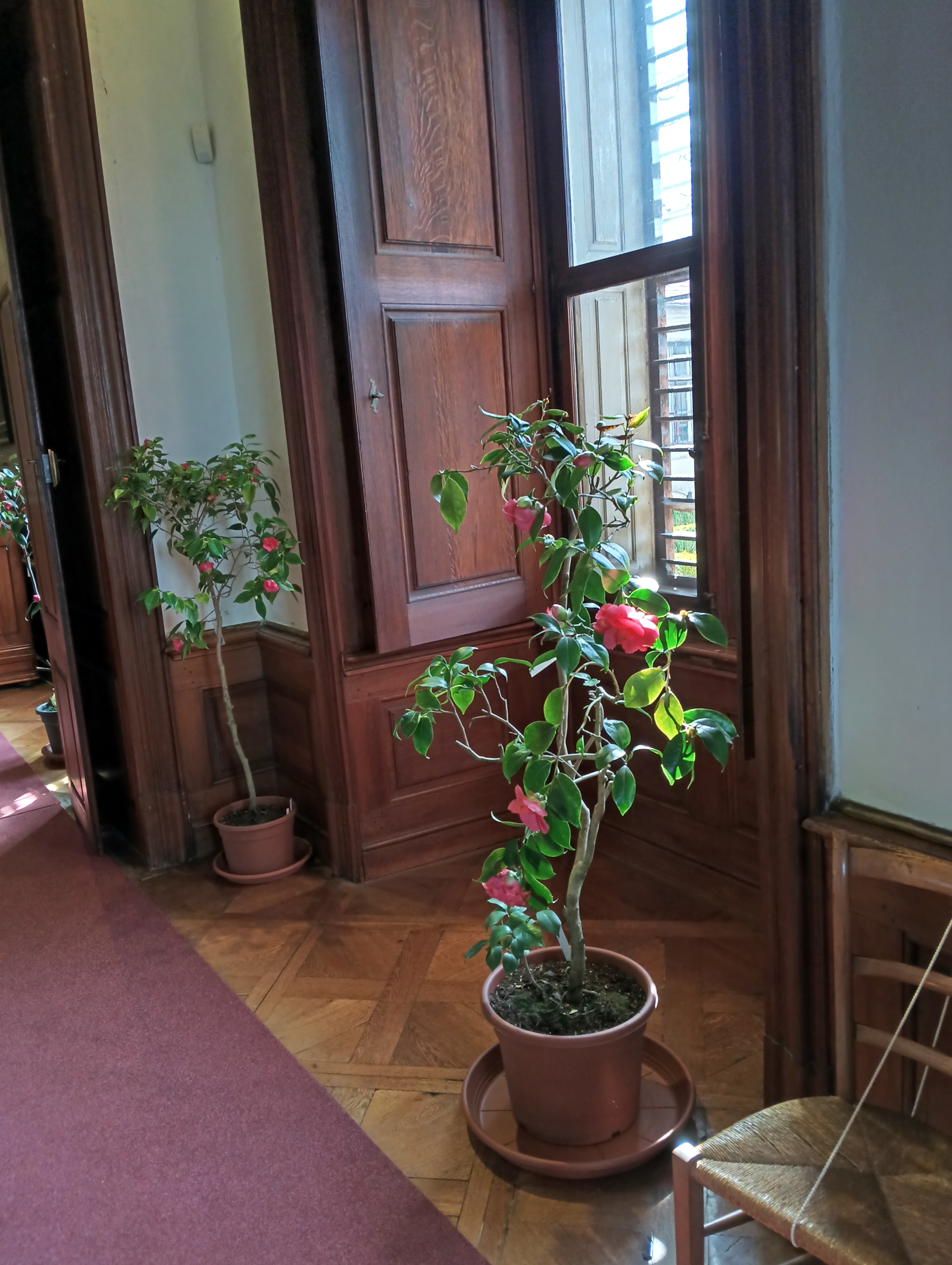 IMG_20260310_104440