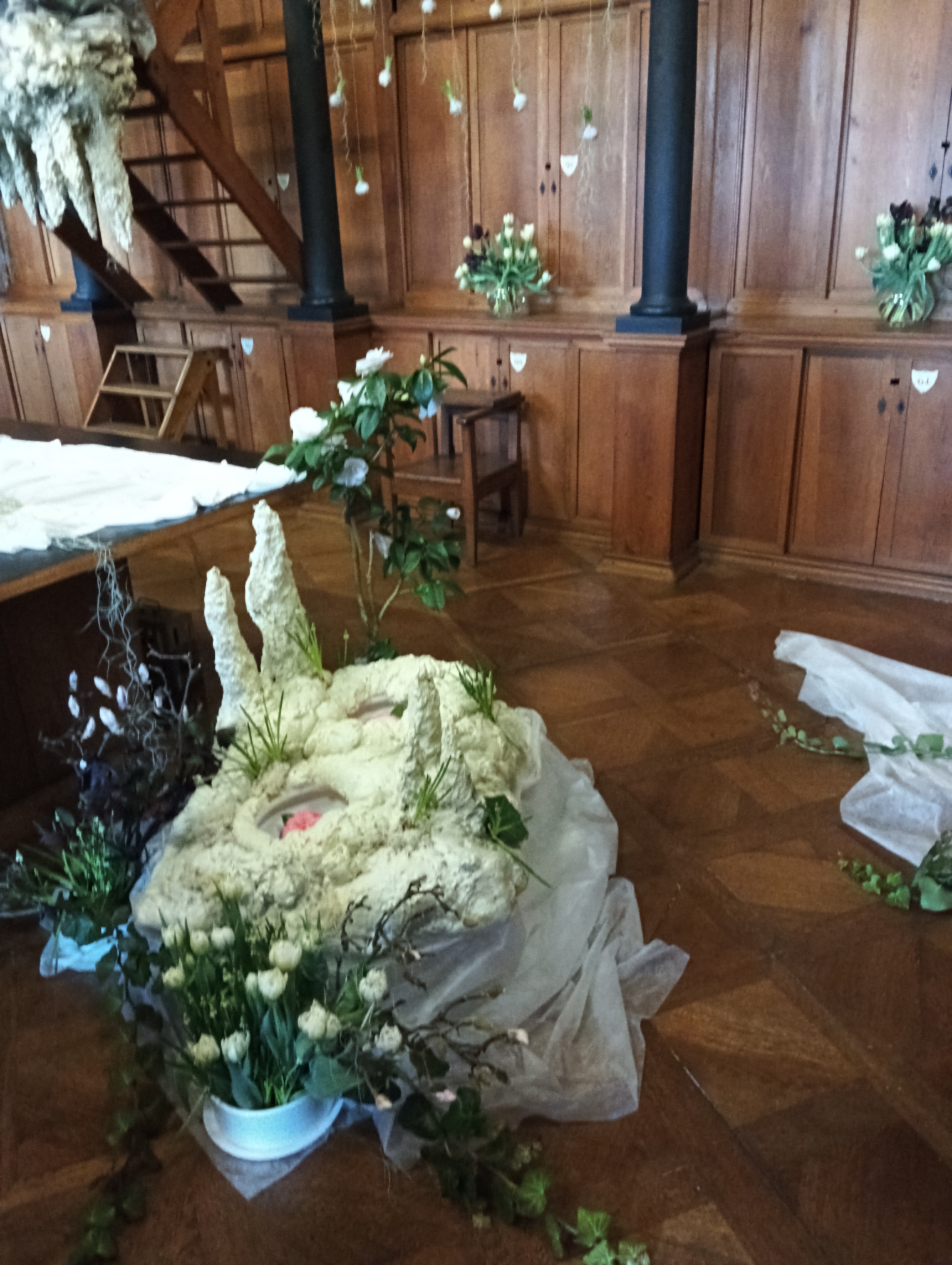 IMG_20260310_110344