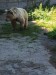 IMG_20250903_115150