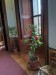 IMG_20260310_104440